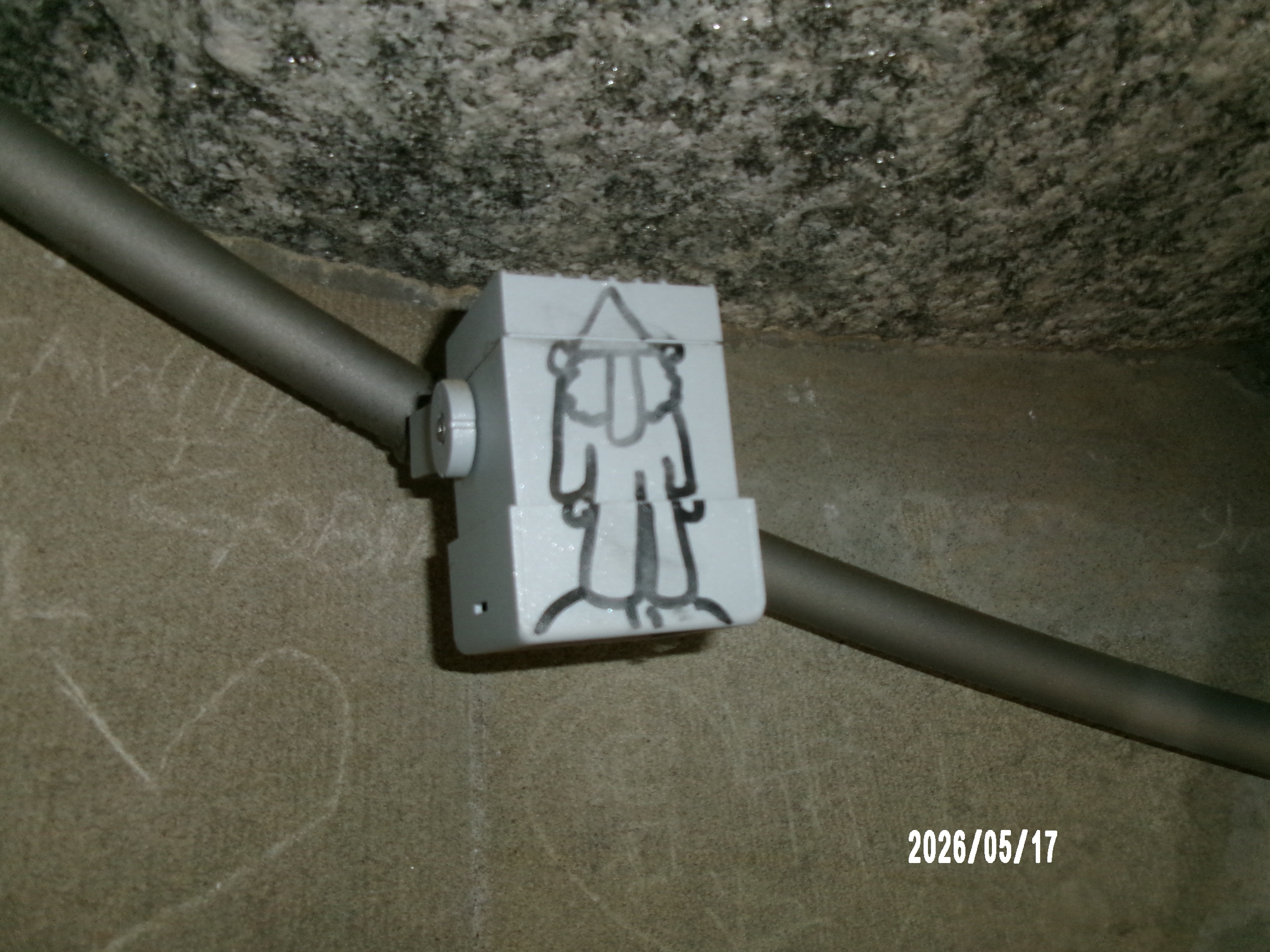 picture4
